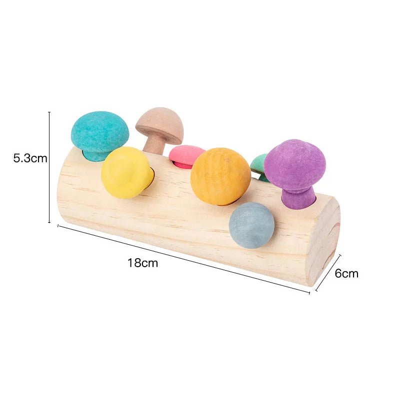 Arc - en - Ciel en Bois Montessori – Blocs & Boules Éducatives - jouetsbebe.com