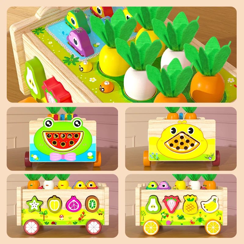 Jeu Éducatif en Bois – Pêche, Tri des Formes et Motricité Fine - jouetsbebe.com