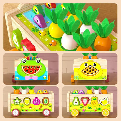 Jeu Éducatif en Bois – Pêche, Tri des Formes et Motricité Fine - jouetsbebe.com