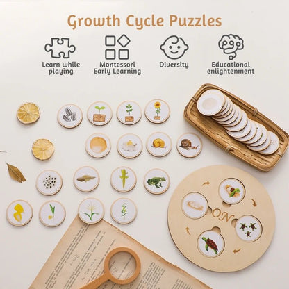 Plateau Montessori Cycle de Vie – Jeu Éducatif Biologie & Sciences dès 3 Ans - jouetsbebe.com