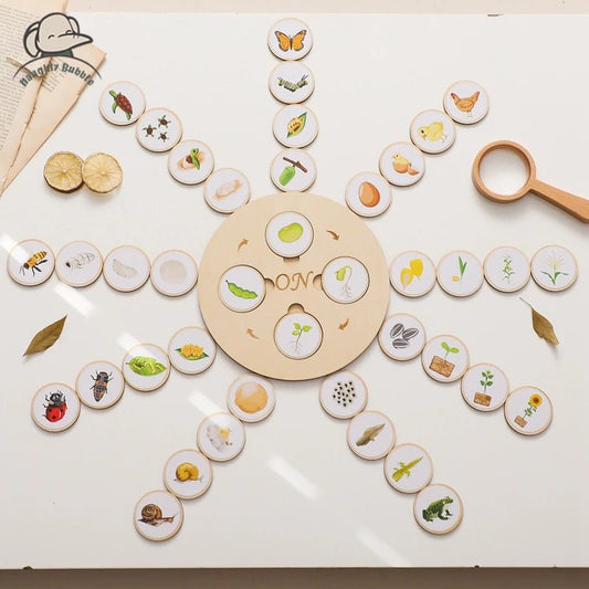 Plateau Montessori Cycle de Vie – Jeu Éducatif Biologie & Sciences dès 3 Ans - jouetsbebe.com