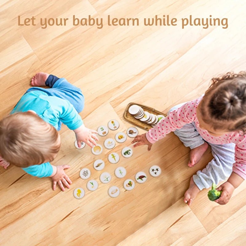 Plateau Montessori Cycle de Vie – Jeu Éducatif Biologie & Sciences dès 3 Ans - jouetsbebe.com