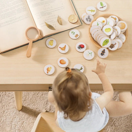 Plateau Montessori Cycle de Vie – Jeu Éducatif Biologie & Sciences dès 3 Ans - jouetsbebe.com
