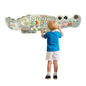 Wooden Activity Wall Board, Crocodile & Dolphins Design, Educational Sensory Panel, Montessori Learning Station - jouetsbebe.com